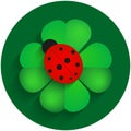 Red ladybird on green clover with shadow