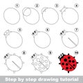 Red ladybug. Drawing tutorial.