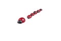 Red ladybug isolated on white background.Kids toy Royalty Free Stock Photo
