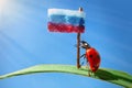 A red ladybug stands on a green leaf of grass, holds the flag of Russia, on a blue background with the rays of the sun. Royalty Free Stock Photo