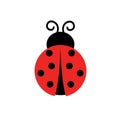 Red ladybug. Vector object, simple flat design. Isolated on a white background