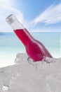 Red lager in the cold bottle with ice cube Royalty Free Stock Photo