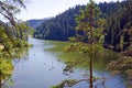 Red Lake, Transylvania, Romania Royalty Free Stock Photo