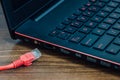 Red LAN internet cable and laptop Royalty Free Stock Photo