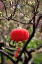 Red lantern Royalty Free Stock Photo