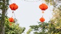Red lantern Chinese lantern hanging Chinese new year