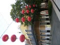 Red lantern hanging around the Macau Fisherman`s Wharf Royalty Free Stock Photo