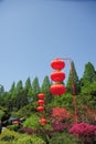 Hanging red lanterns