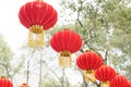 The Red Lanterns Royalty Free Stock Photo