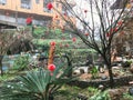 Red lanterns on tree on square in Tiantou village Royalty Free Stock Photo