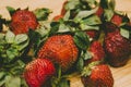 Red large juicy sweet strawberries on a wooden table Royalty Free Stock Photo