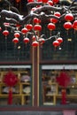 Red latterns on branches, Chinese new year, lattern festival Royalty Free Stock Photo