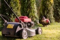 Lawn mower cutting grass Royalty Free Stock Photo