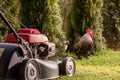 Lawn mower cutting grass Royalty Free Stock Photo