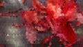 Red Leaf Abstract Blurred Textures Shapes Backgrounds Royalty Free Stock Photo
