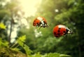 nature macro animal insect beetle summer leaf red spring ladybug. Generative AI. Royalty Free Stock Photo