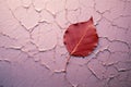 a red leaf sits on a cracked wall