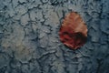a red leaf sits on top of a peeling wall