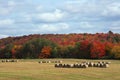 Hay bales red leafs autumn fall agriculture field landscape