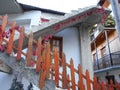 Red Vine on Wood Fence and Concrete Stairs