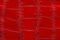 Red leather background Royalty Free Stock Photo