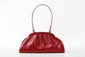 Red leather bag Royalty Free Stock Photo