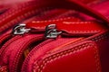 Red leather bag Royalty Free Stock Photo