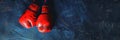 Red leather boxing gloves hanging on a blue wall. Banner. Textured background with copy space. Minimalistic sports Royalty Free Stock Photo
