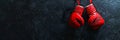 Red leather boxing gloves hanging on a blue wall. Banner. Textured background with copy space. Minimalistic sports Royalty Free Stock Photo