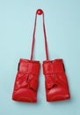 Red leather boxing gloves hanging on a cord, blue background Royalty Free Stock Photo