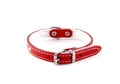 Red leather collar isolated over white background. It is a stylish collar for small dogs