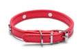 Red Leather Dog Collar Royalty Free Stock Photo