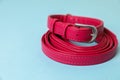 Red leather dog leash on light blue background, closeup. Space for text Royalty Free Stock Photo