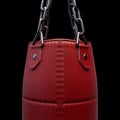Red Leather Punching Bag