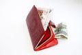 Red leather purse with money Royalty Free Stock Photo