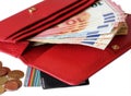 Red leather purse with money Royalty Free Stock Photo