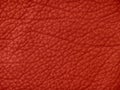 Red Leather Texture Royalty Free Stock Photo