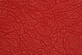 Red leather texture background Royalty Free Stock Photo