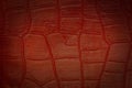 Red leather texture, background.Copy space for text Royalty Free Stock Photo