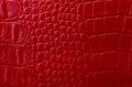 Red leather texture print as background