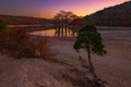 Red leaves in autumn on the branches of the swamp cypress trees in the water of a mountain lake the valley of Sukko Royalty Free Stock Photo