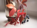 red leaves blue berries still life vase glass