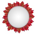 Red leaves in circle with white shape on white background