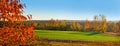 Red leaves with glowed of sunset at colorful trees with yellow leaves and green field Royalty Free Stock Photo