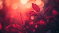 Red leaves illuminated by a warm autumn sunset glow Royalty Free Stock Photo