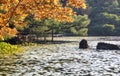 Red leaves of Japanese maple over the Seiho-ike pond at Heian-jingu Shrine. Kyoto. Japan Royalty Free Stock Photo