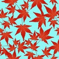 Red leaves seamless pattern, vector background. Autumn on a blue . For the design of wallpaper, fabric, decoration Royalty Free Stock Photo