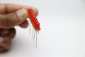 Red LED on an empty circuit board arranged in parallel circuit connection. Young inventor working on some LED project Royalty Free Stock Photo