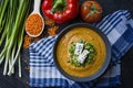 Red lentil cream soup decorated with fresh vegetables and greens. Veggie concept. Proper nutrition. View from above Royalty Free Stock Photo