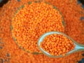 Red lentils in a green ceramic bowl, selective focus Royalty Free Stock Photo